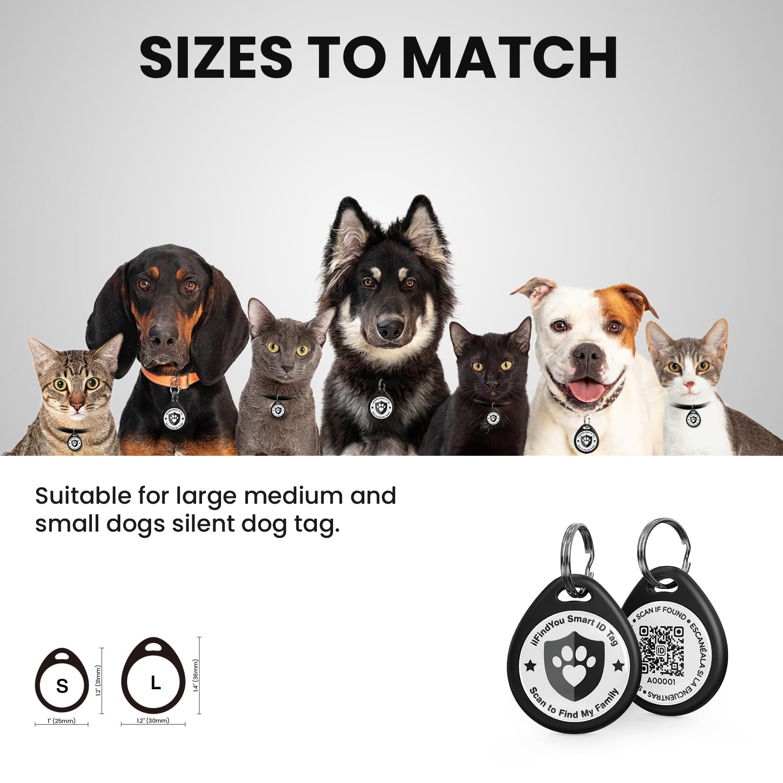 ILFINDYOU dog tag displays online profile link, helping quick identification and owner contact.