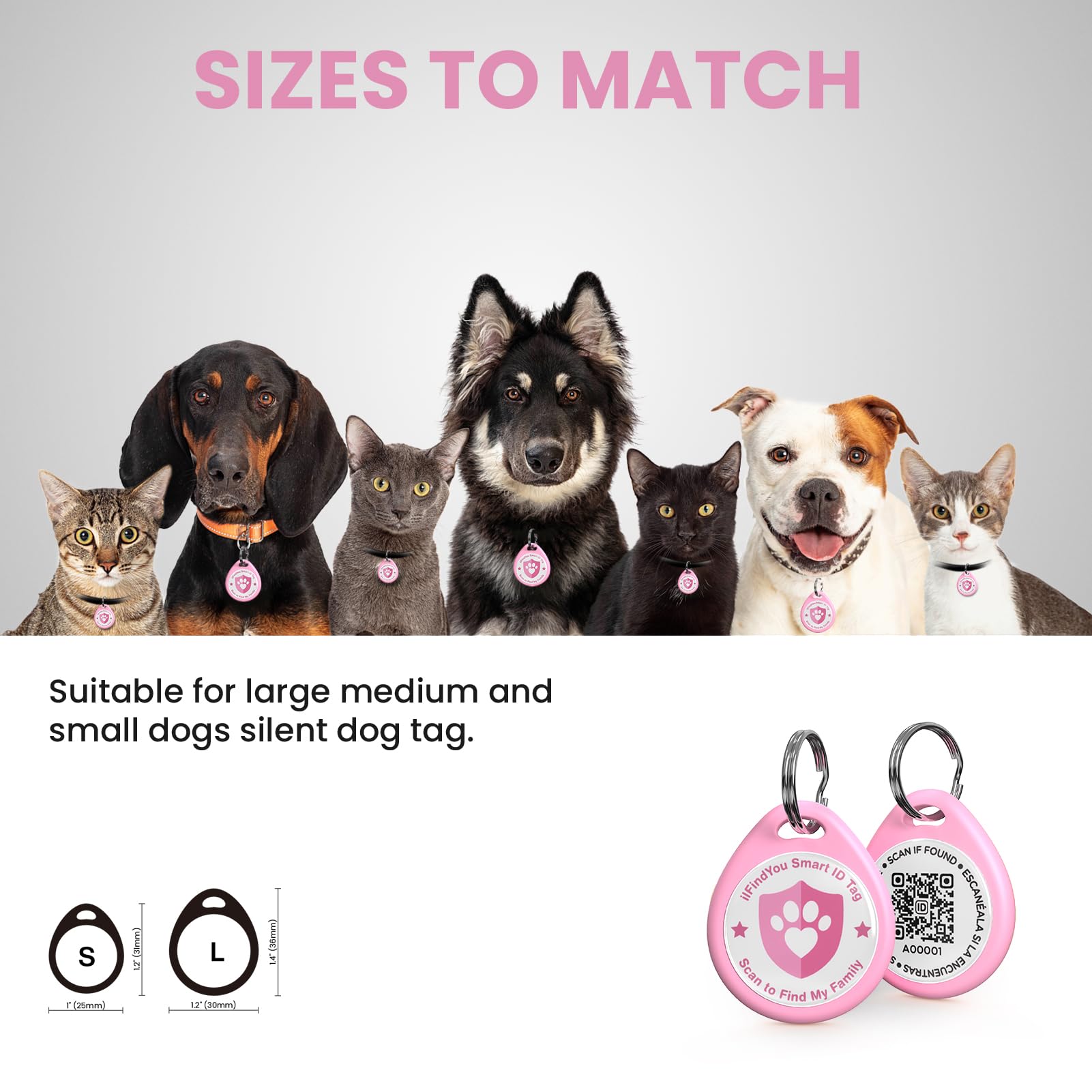 ilFindYou dog tag showing online profile links to vital info