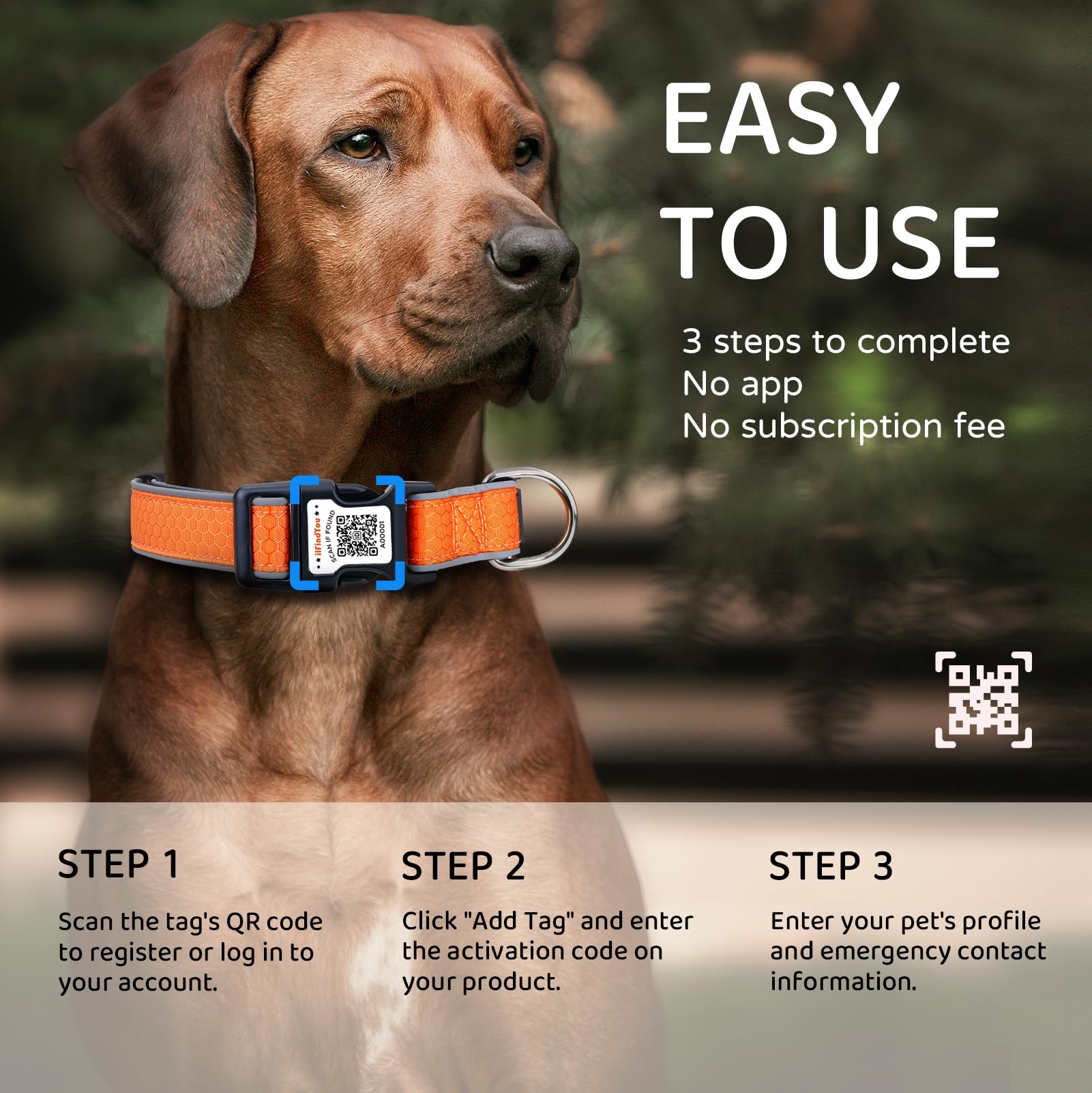 ILFINDYOU collar is fully adjustable to fit multiple dog sizes.