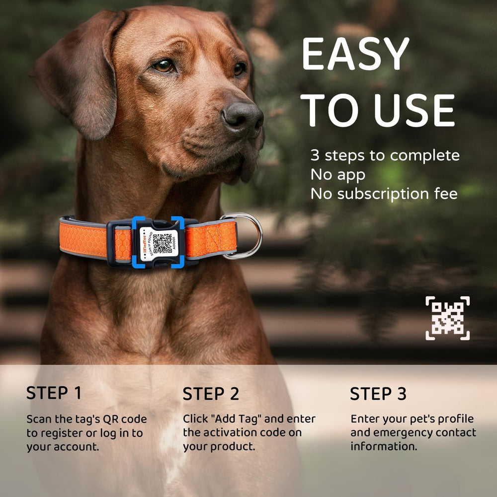 ILFINDYOU collar is fully adjustable to fit multiple dog sizes.