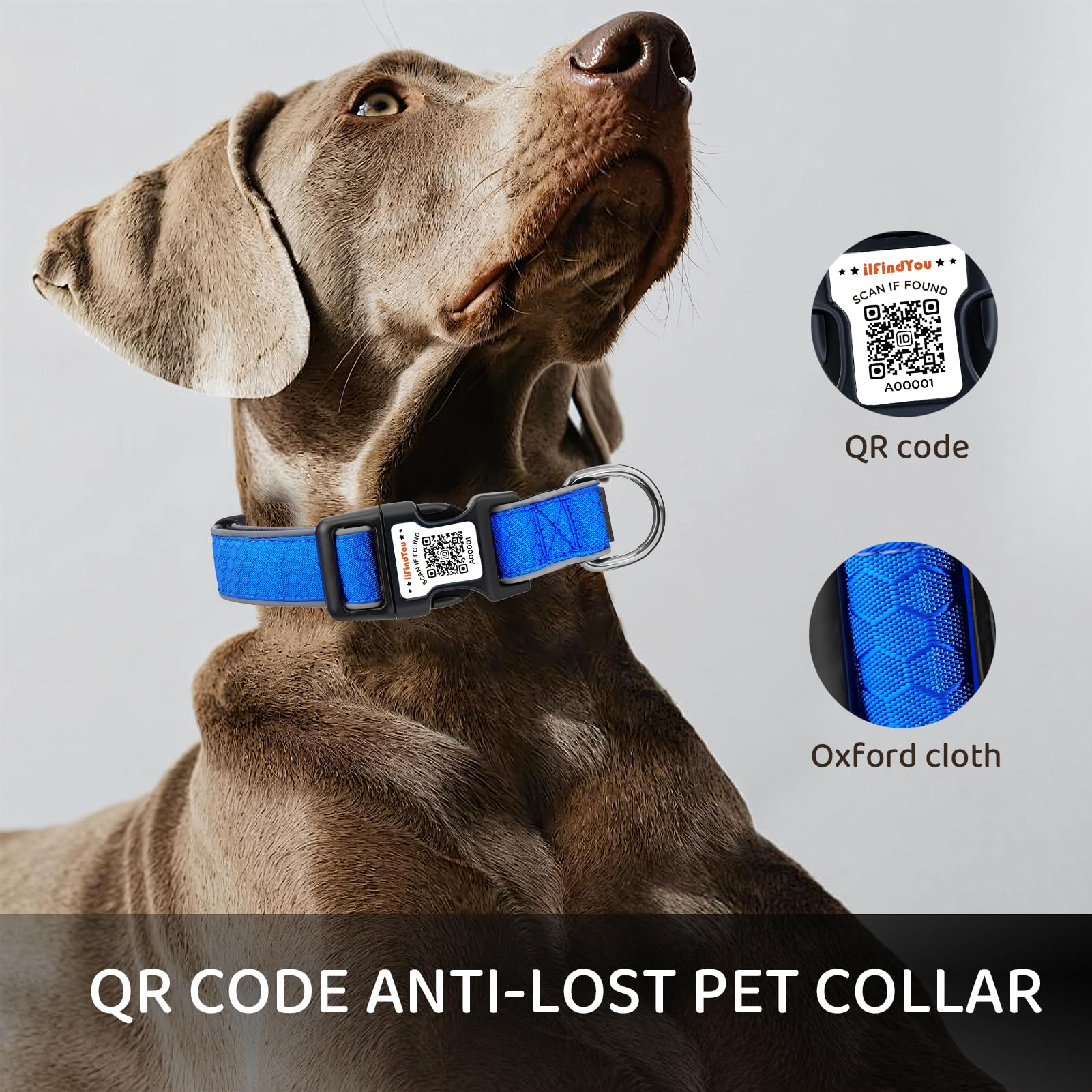 ILFINDYOU online pet profile keeps contact details current
