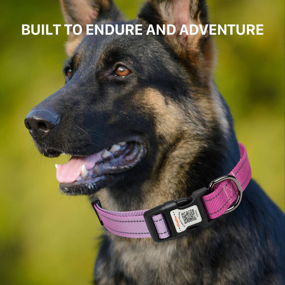 ILFINDYOU QR code pet tag enables real-time emergency information sharing