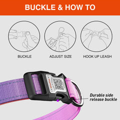 ILFINDYOU QR code tag on collar enables easy reunions when scanned.