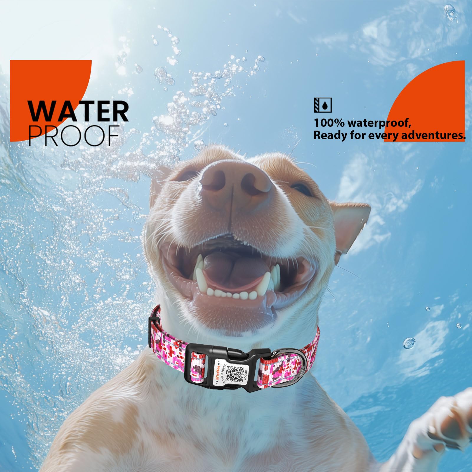 ILFINDYOU reflective dog collar worn during walk demonstrates enhanced safety