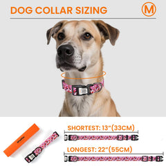 ILFINDYOU reflective dog collar QR tag close-up with online profile access