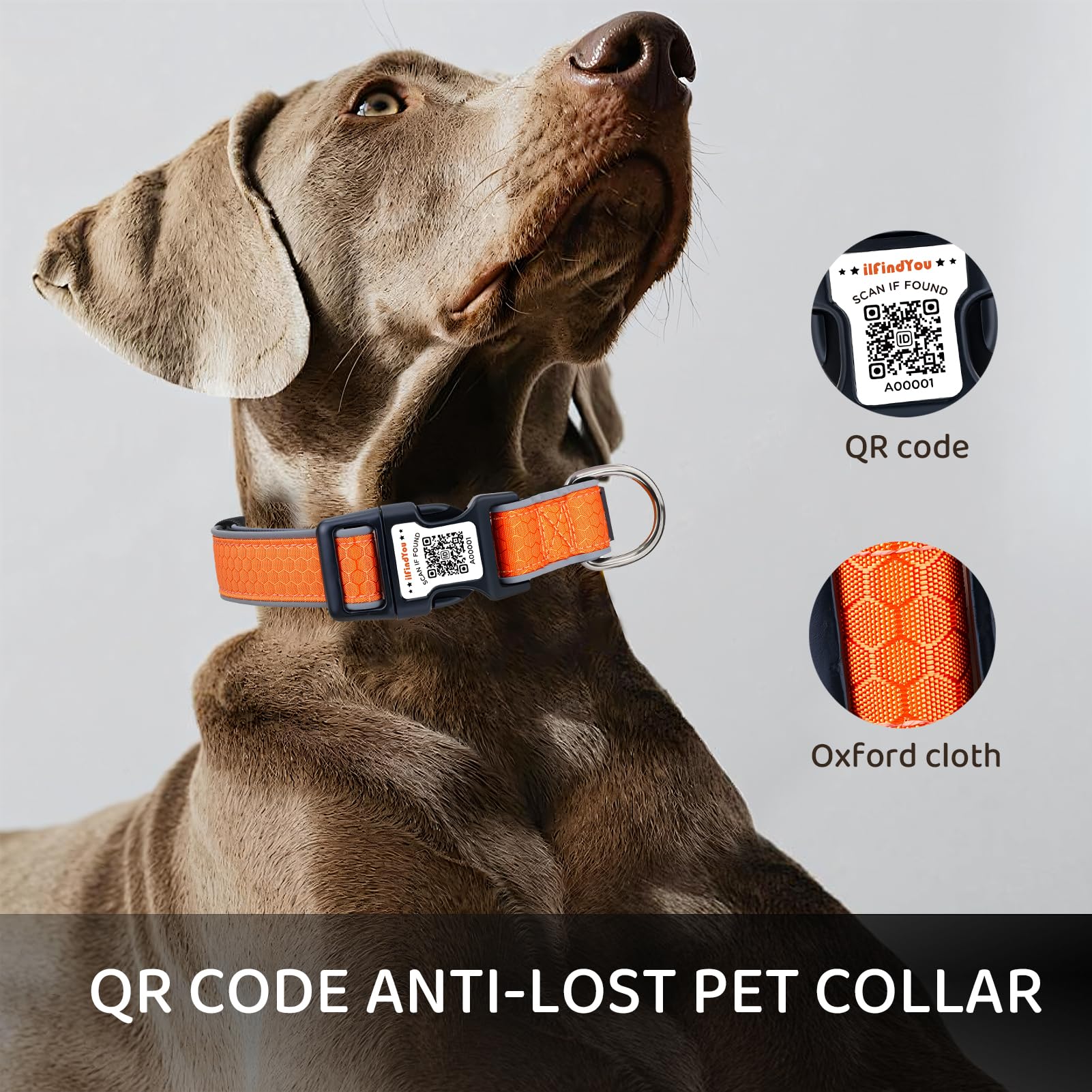 ILFINDYOU collar's safety buckle allows easy on/off for convenience.