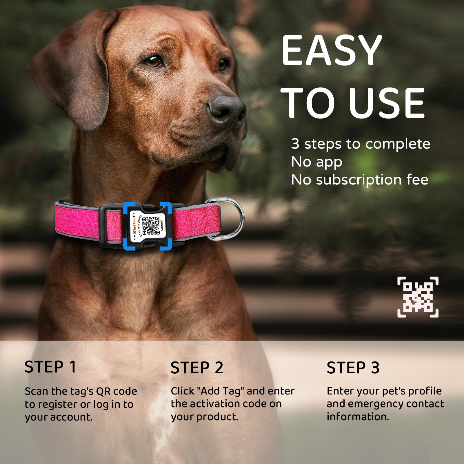 ILFINDYOU safety buckle on/off for easy wearing and removal