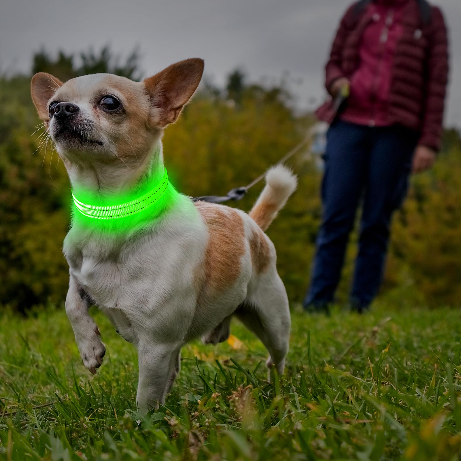 Illumifun adjustable neck collar fits 8-23.6 inches for small dogs and cats.