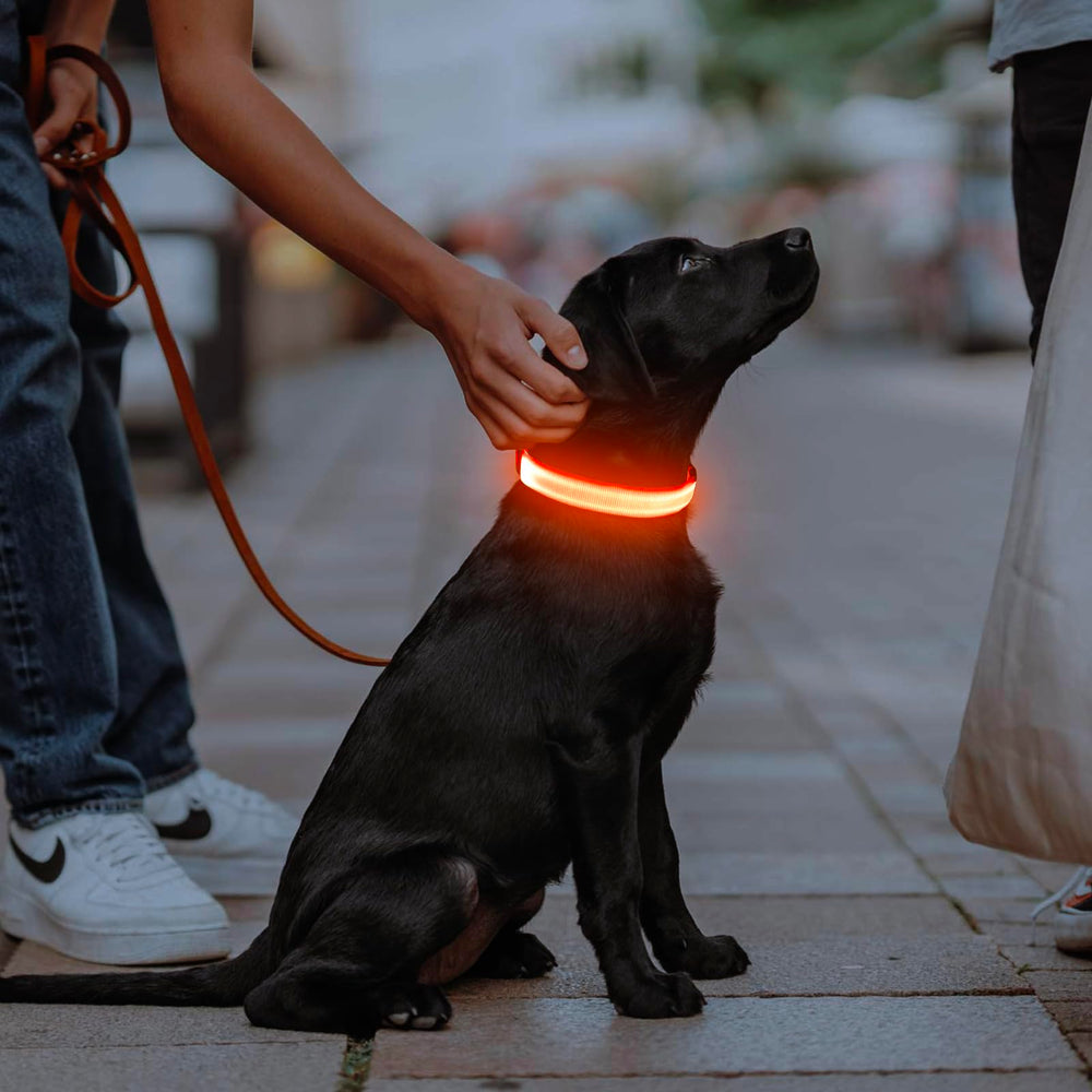 Illumifun adjustable neck collar fits 8.5 to 23.6 inches securely.