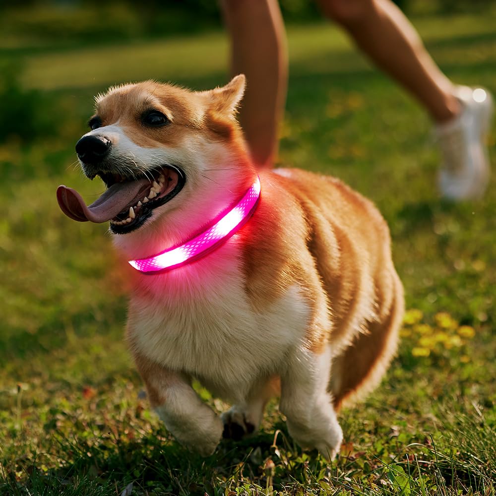 Illumifun sturdy D-ring leash attachment on a reflective safety collar.