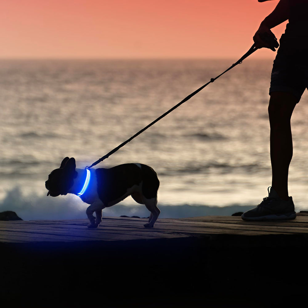 Illumifun buckle and D-ring design for secure leash attachment