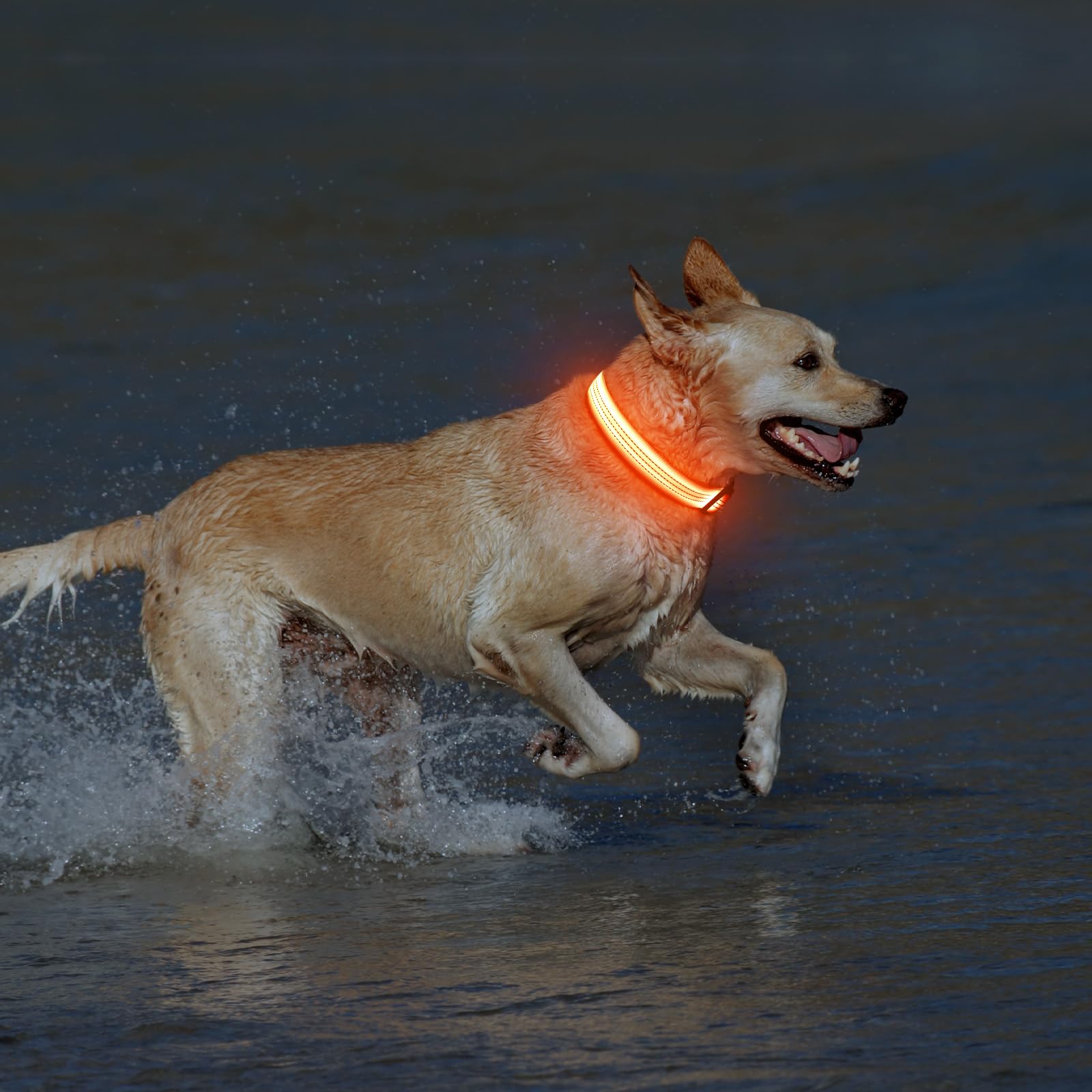 Illumifun night-use collar with easy push-button modes for quick mode changes.