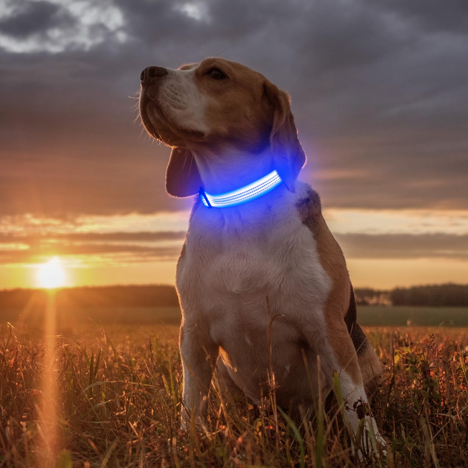 Illumifun water-resistant collar during camping in wet conditions