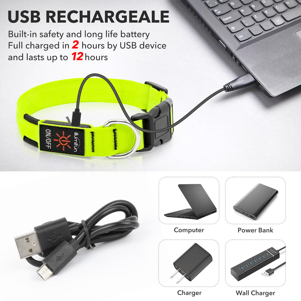 Illumifun LED collar glowing at night improves nighttime visibility.