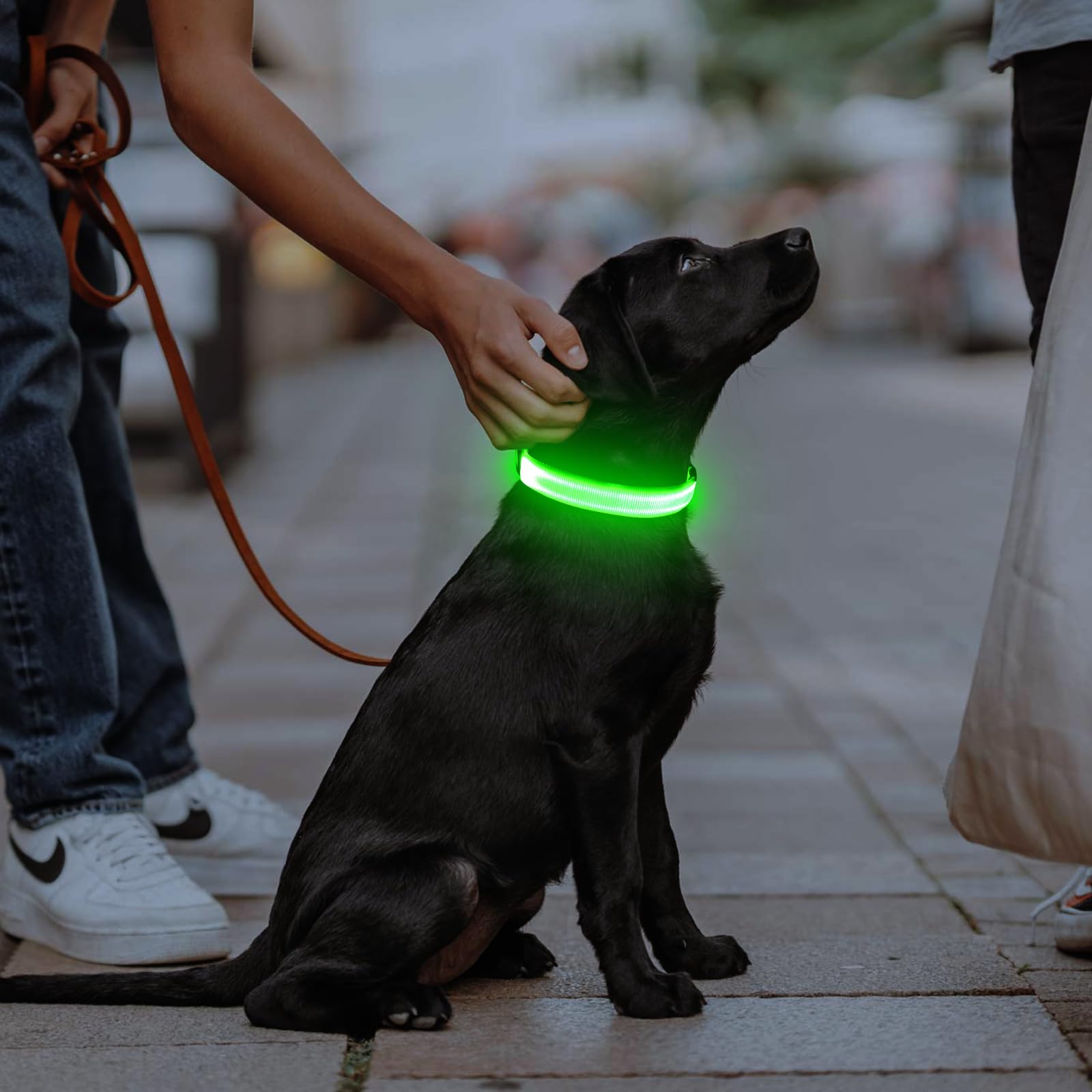 Illumifun LED collar water resistant design for rain and mud.