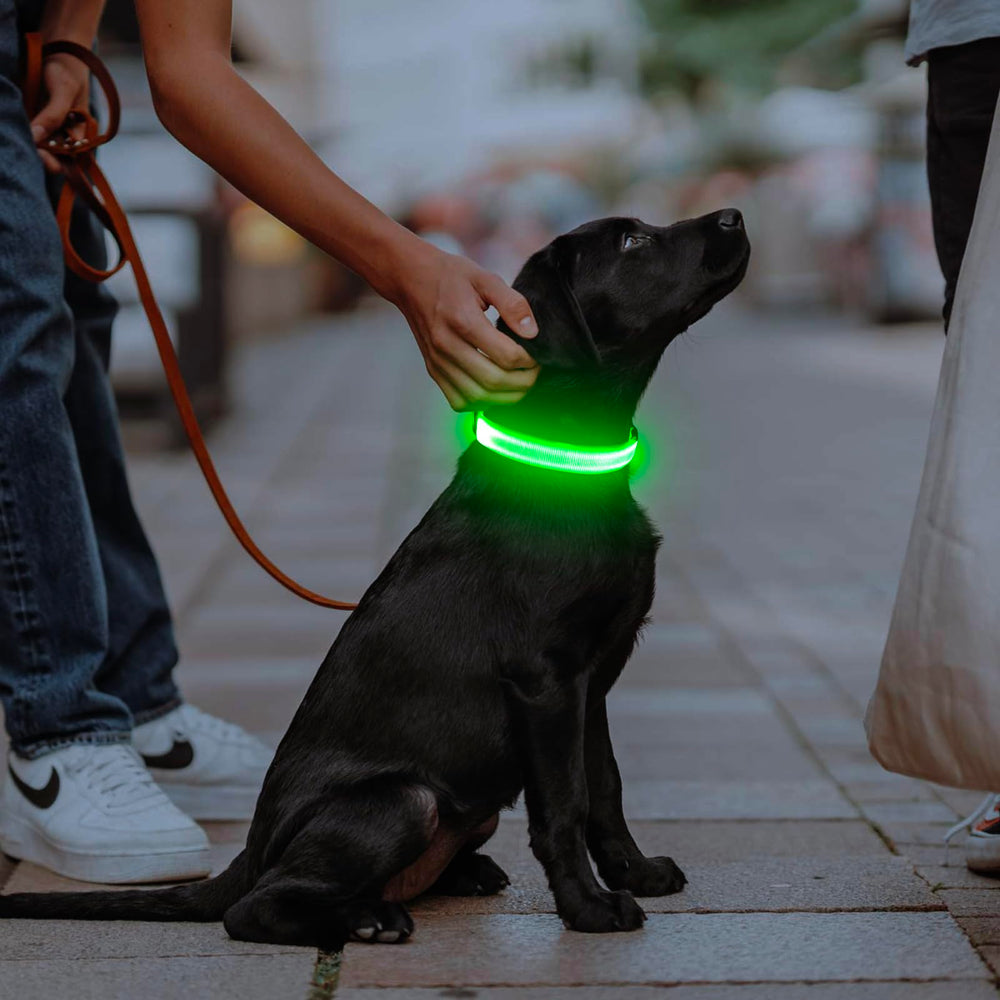Illumifun LED collar water resistant design for rain and mud.