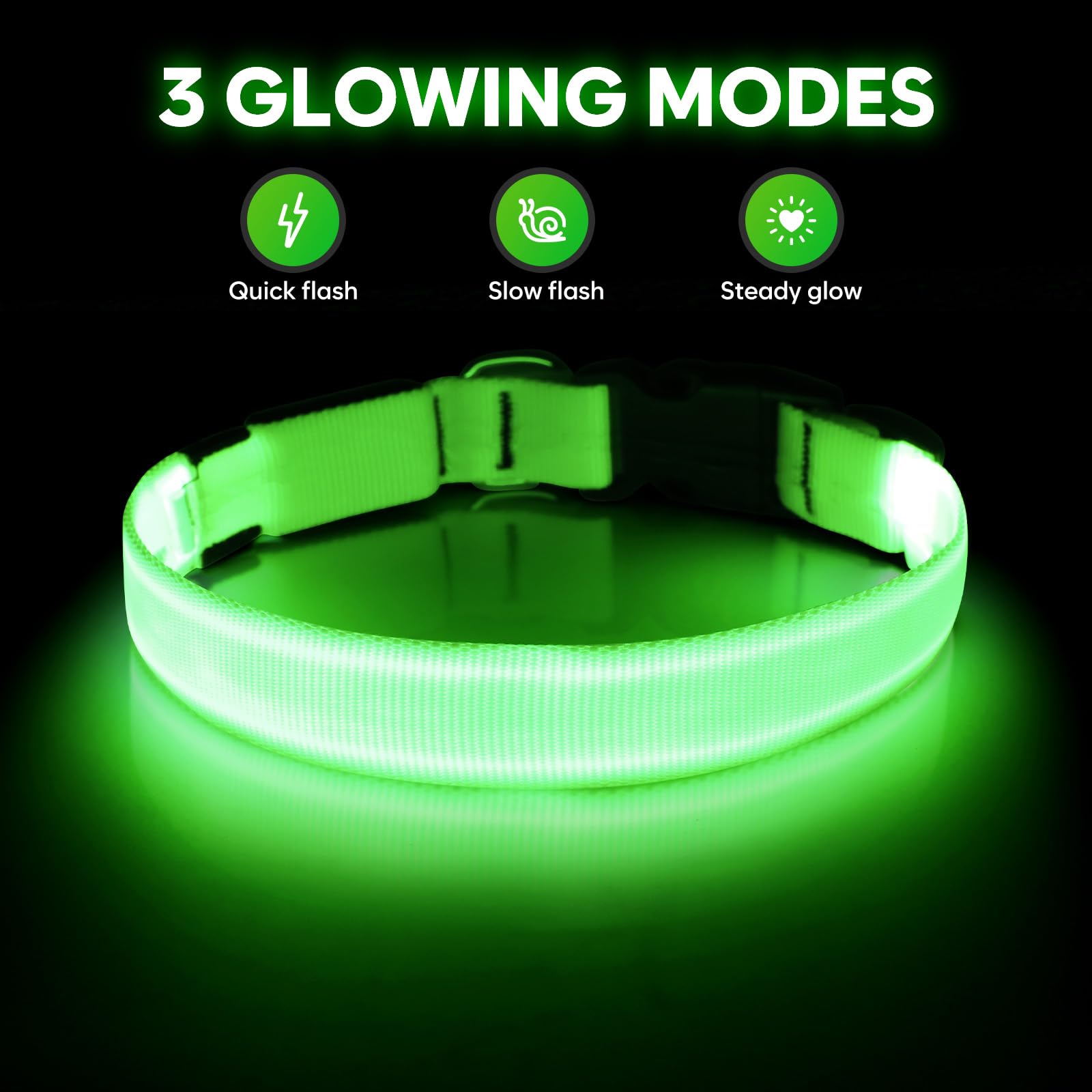 Illumifun LED collar worn on a small dog for safe day and dusk walks.