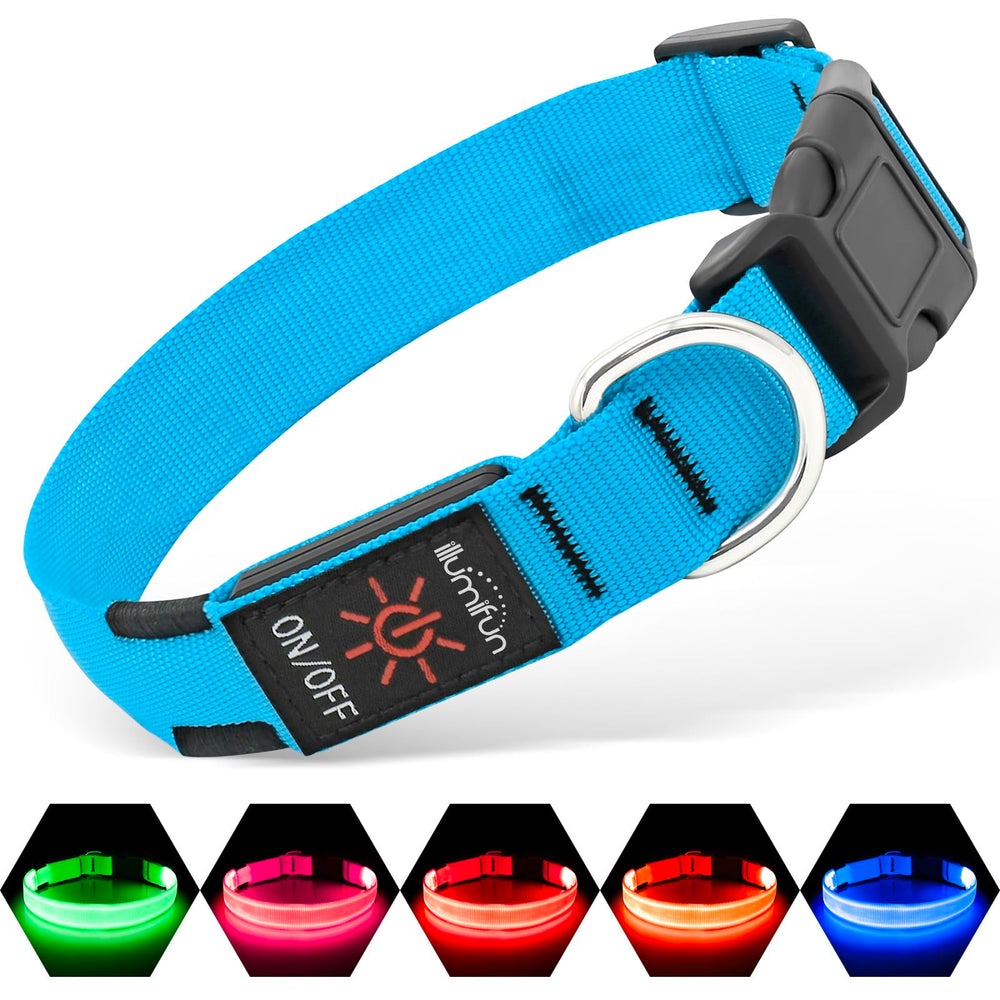 Illumifun LED Dog Collar glows blue on a dog for nighttime visibility during walks