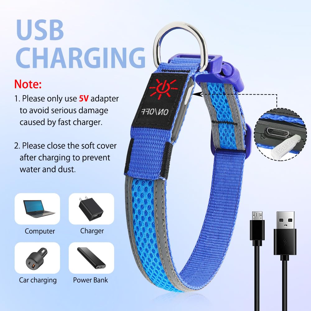 Illumifun LED Dog Collar buckle-and-d-ring detail emphasizes secure attachment.