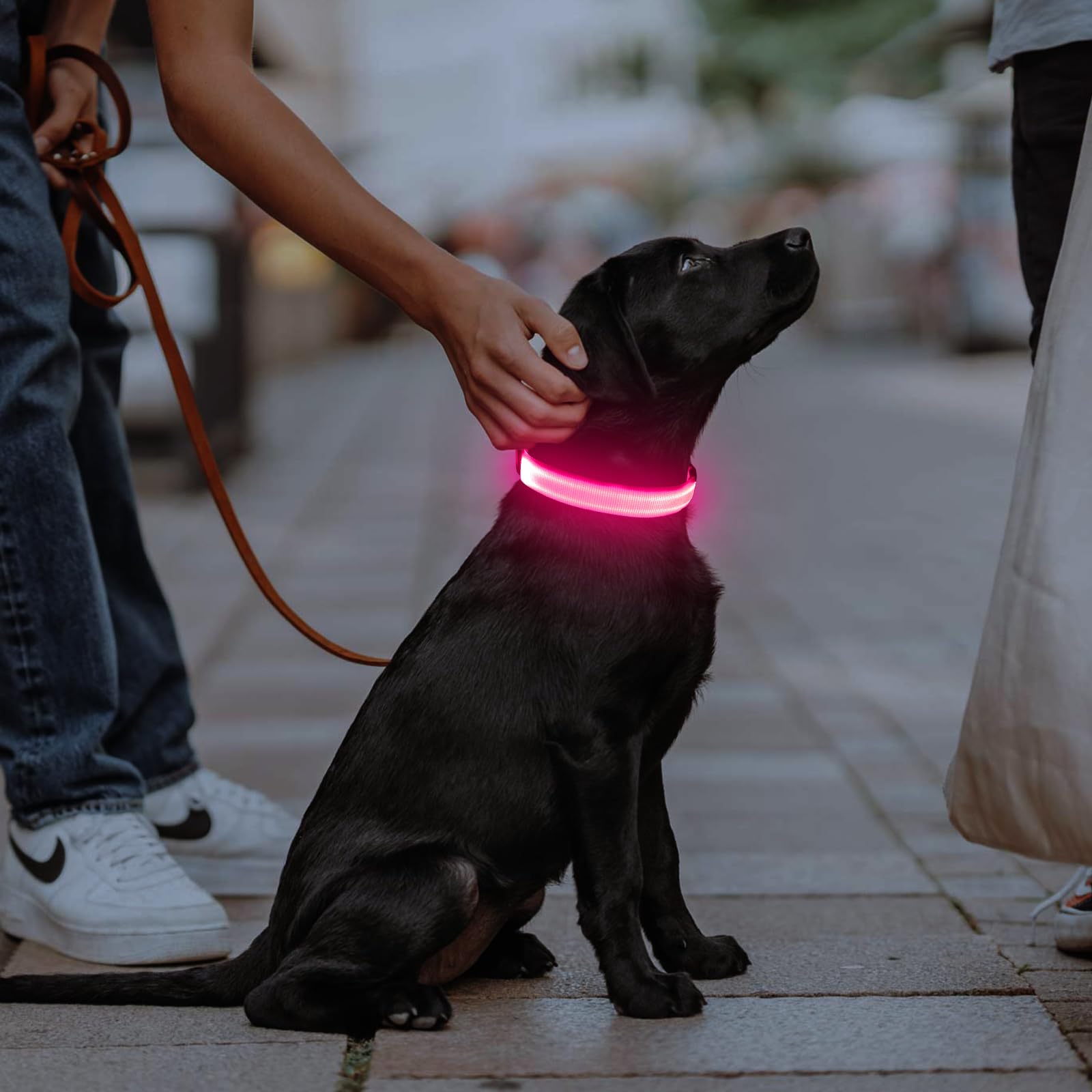 Illumifun LED dog collar D-ring for sturdy leash attachment