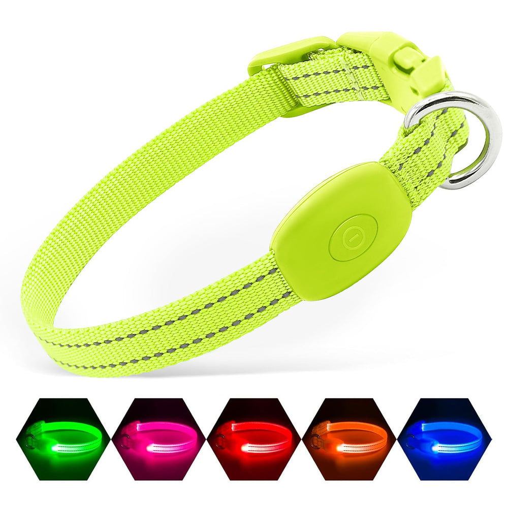 Illumifun LED dog collar green glow enhances night visibility for safe puppy strolls.