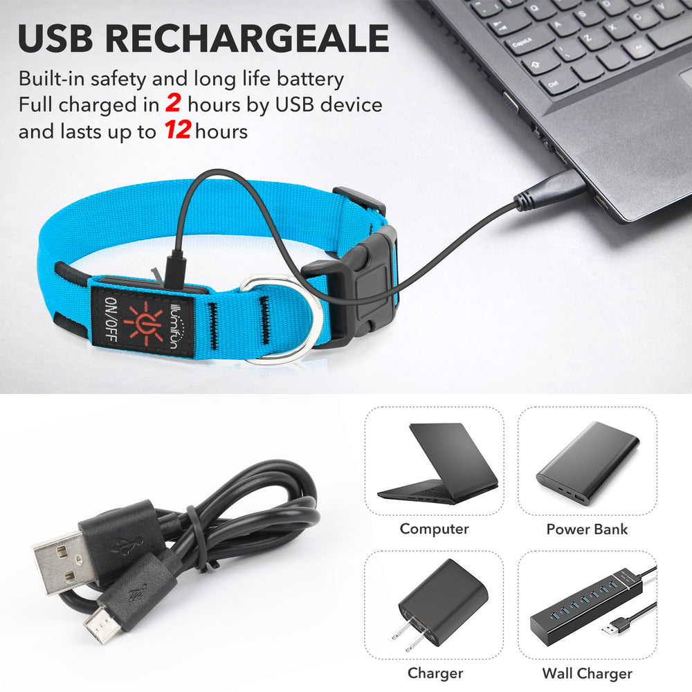 Illumifun collar D-ring supports reliable leash attachment.