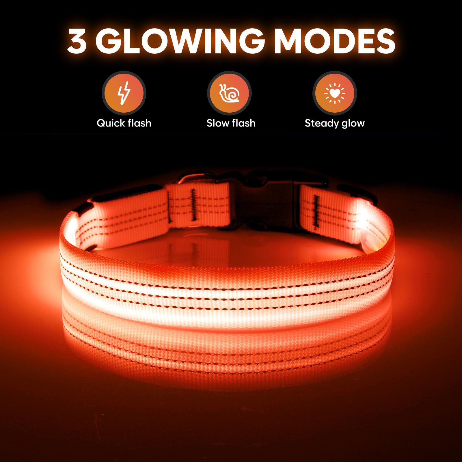 Illumifun LED dog collar worn on a dog for evening visibility