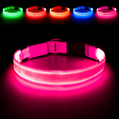 Illumifun LED dog collar pink on dog for high visibility during night walks