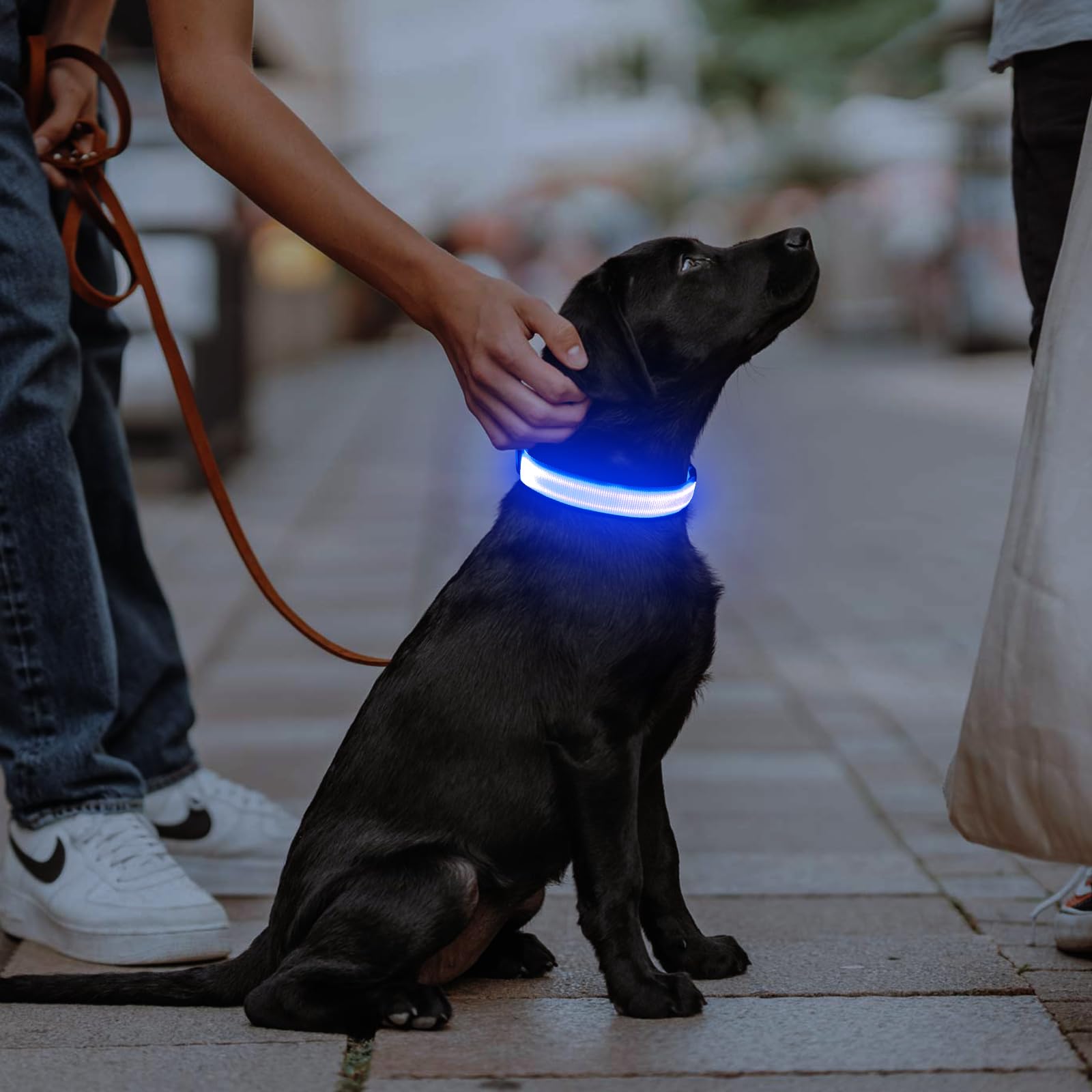 Illumifun LED Dog Collar three-flash modes offer customizable safety signals