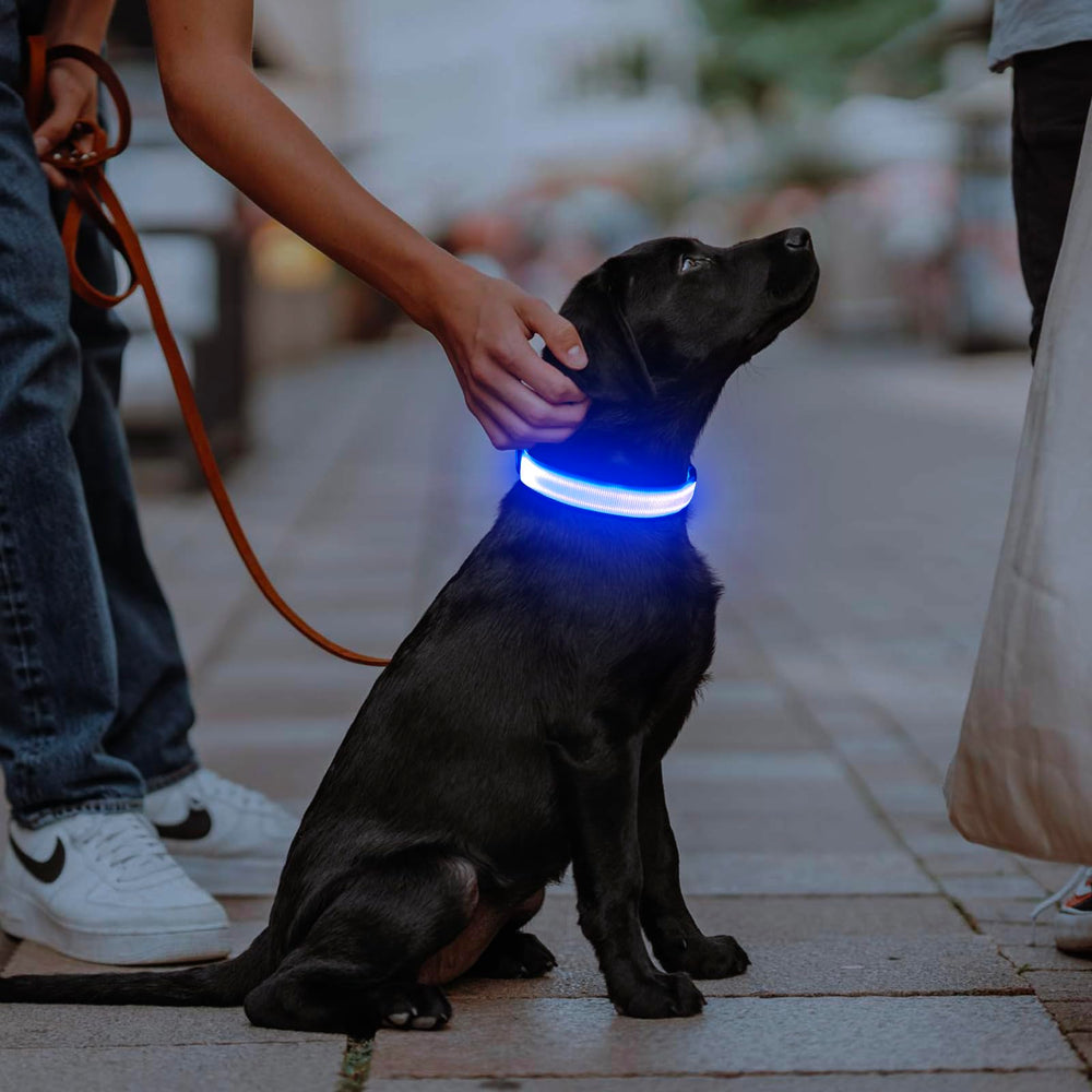Illumifun LED Dog Collar three-flash modes offer customizable safety signals