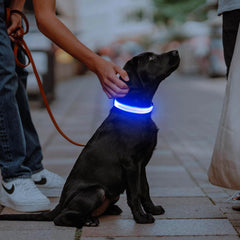 Illumifun LED Dog Collar three-flash modes offer customizable safety signals
