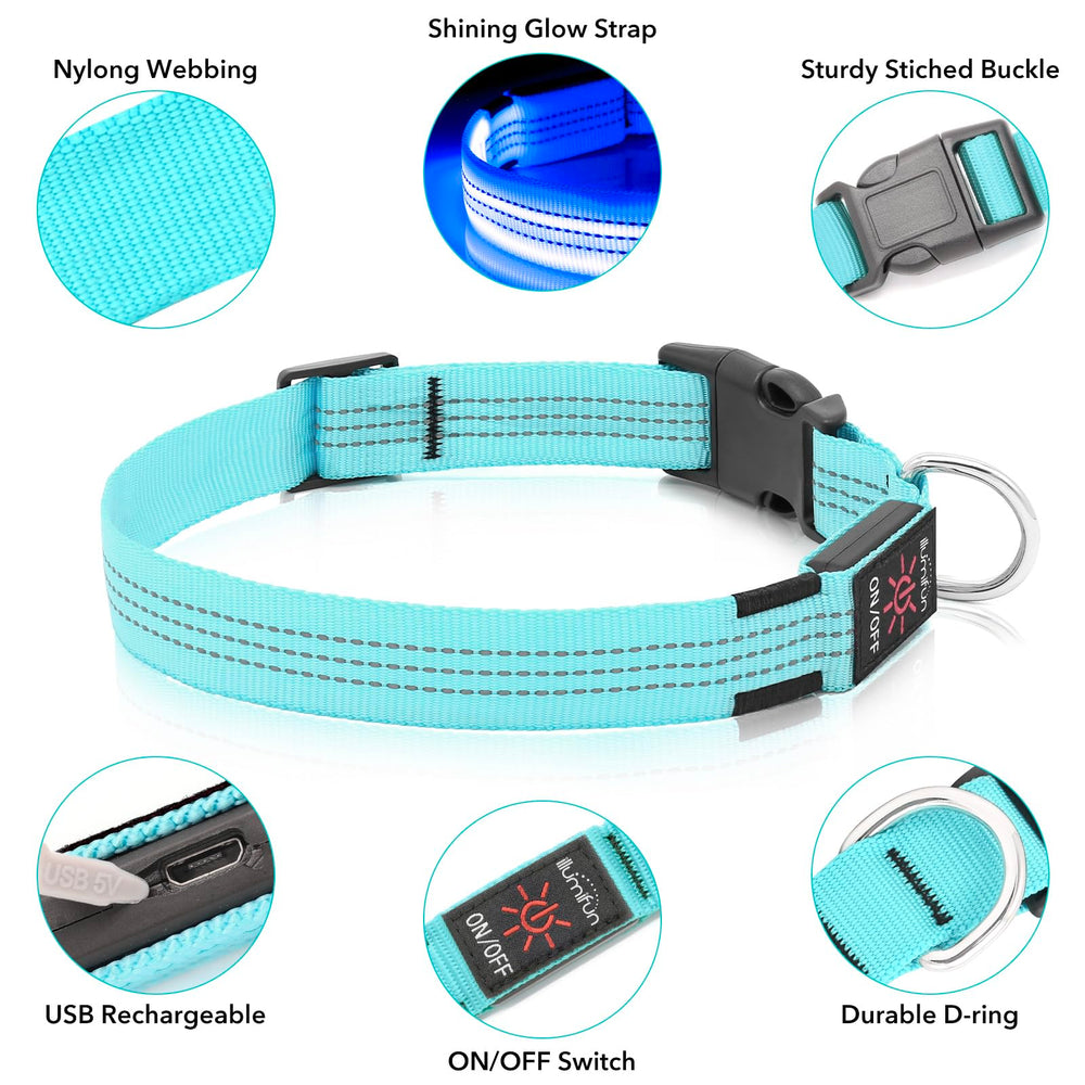 Illumifun USB rechargeable blue LED collar ready for camping adventures
