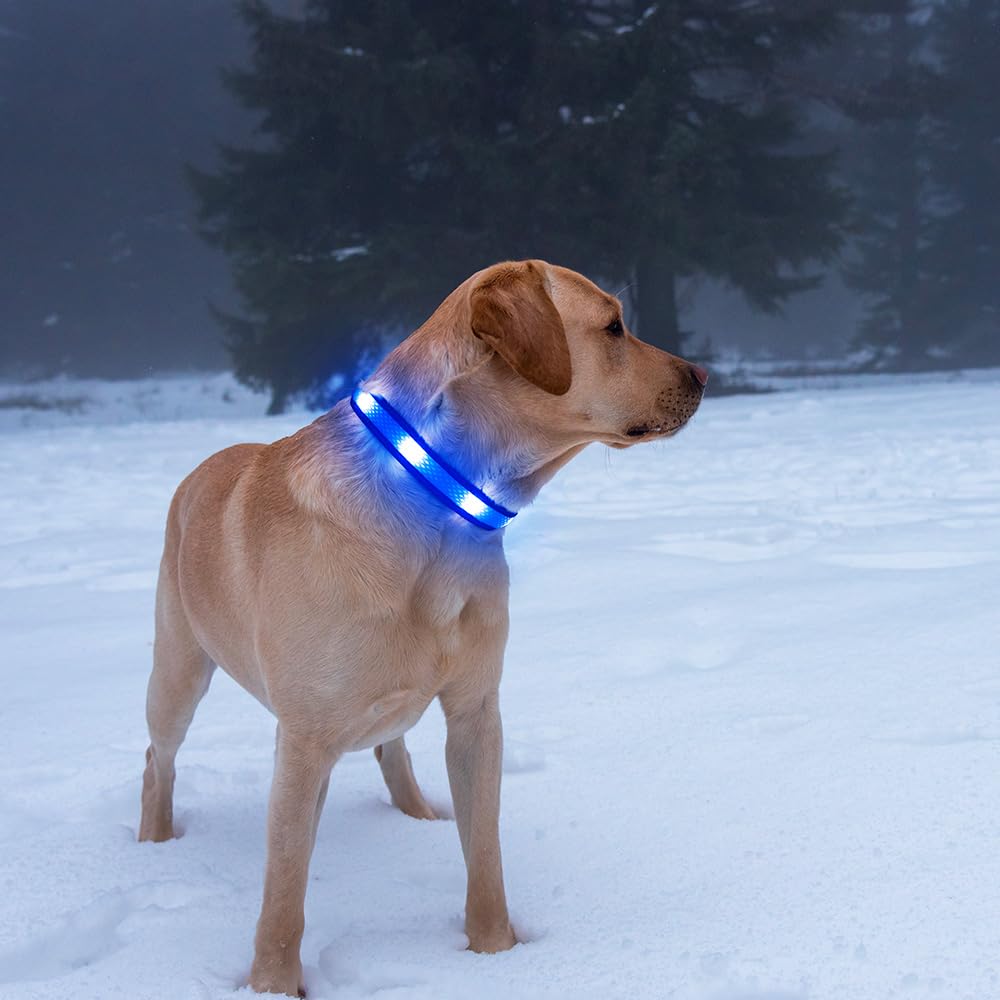 Illumifun LED Dog Collar usb-rechargeable-cable-included shows convenient charging setup.