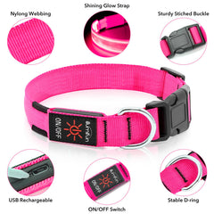 Illumifun LED dog collar USB-rechargeable for convenient charging outdoors.