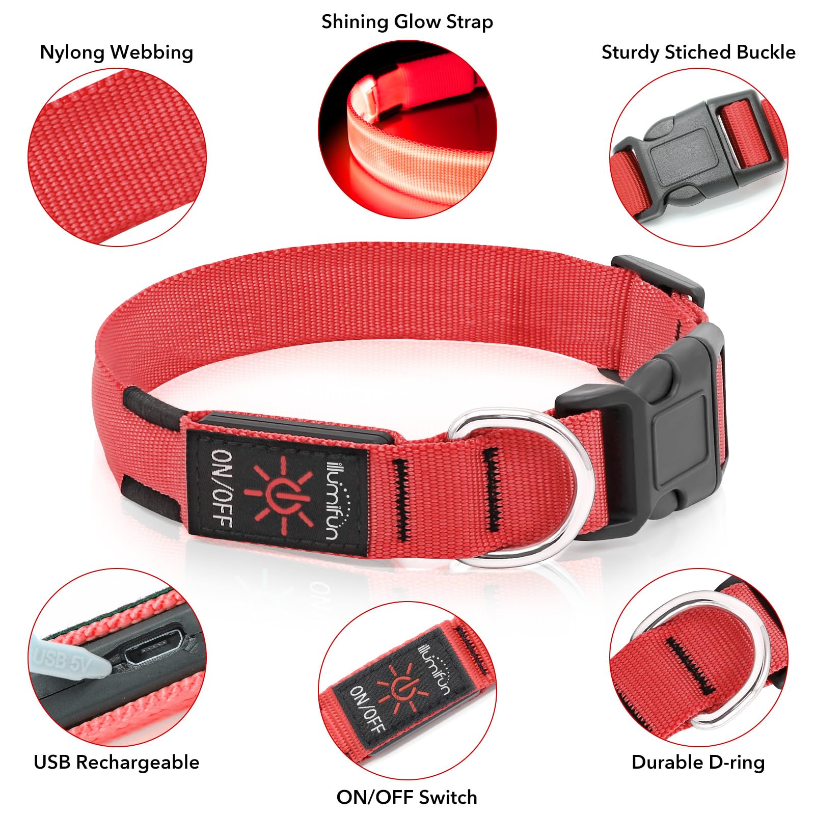 Illumifun light guide collar in action during a night walk for visibility