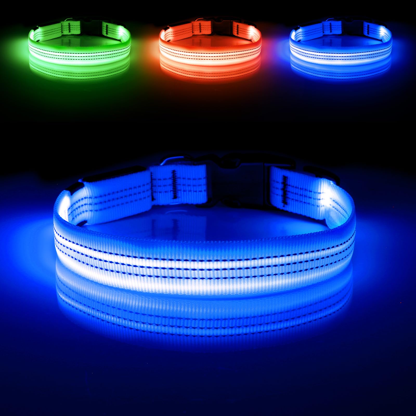 Illumifun Light Up Dog Collar worn by a dog during a night walk showing visibility