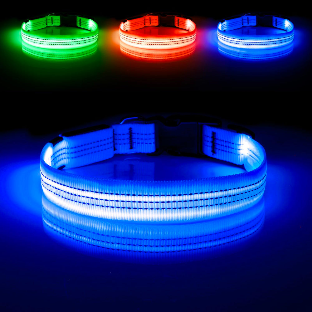 Illumifun Light Up Dog Collar worn by a dog during a night walk showing visibility