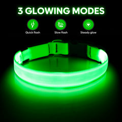 Illumifun light-up-dog-collar-green close-up neck adjustment for easy nighttime fit.