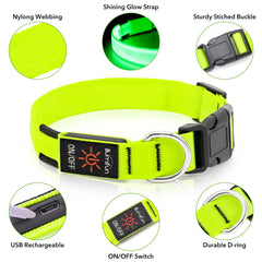 Illumifun light-up-dog-collar-green USB recharge with cable for extended outdoor adventures.
