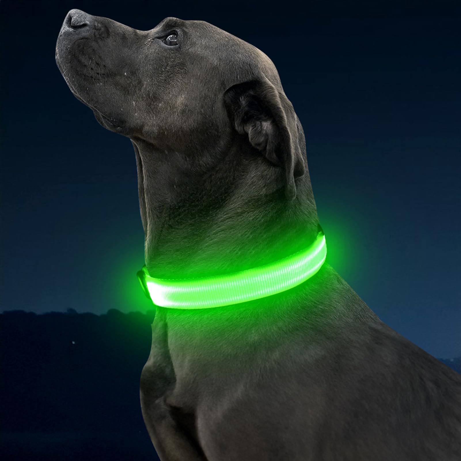 Illumifun light-up-dog-collar-green water-resistant design withstands rain or mud.