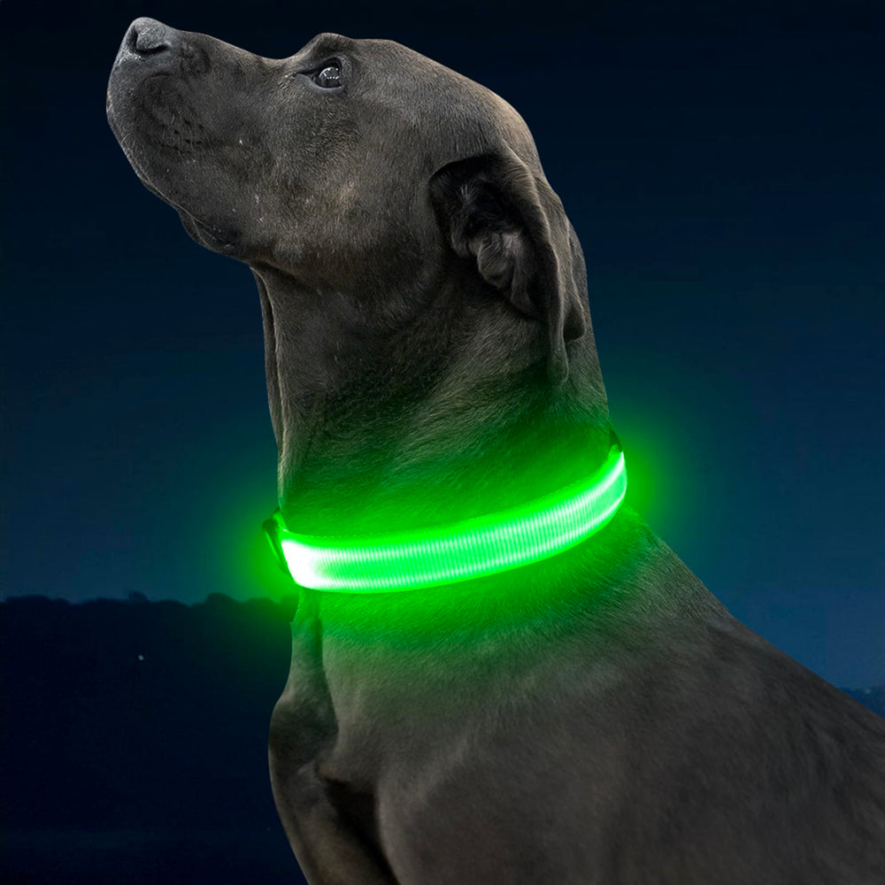 Illumifun light-up-dog-collar-green water-resistant design withstands rain or mud.