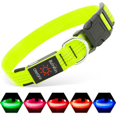 Illumifun light-up dog collar Green3 front view for high-visibility nighttime walks