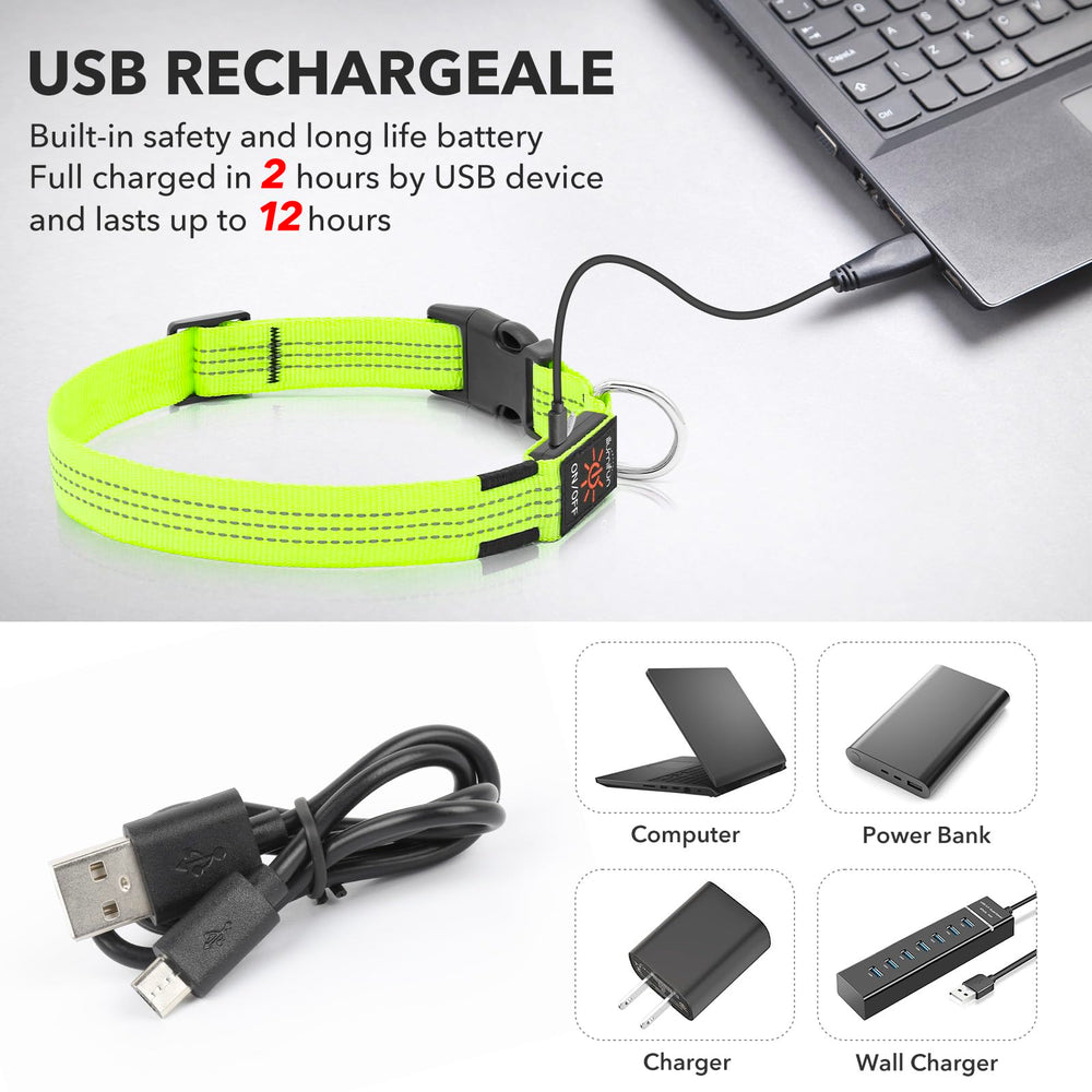 Illumifun light-up dog collar Green3 modes for versatile signaling