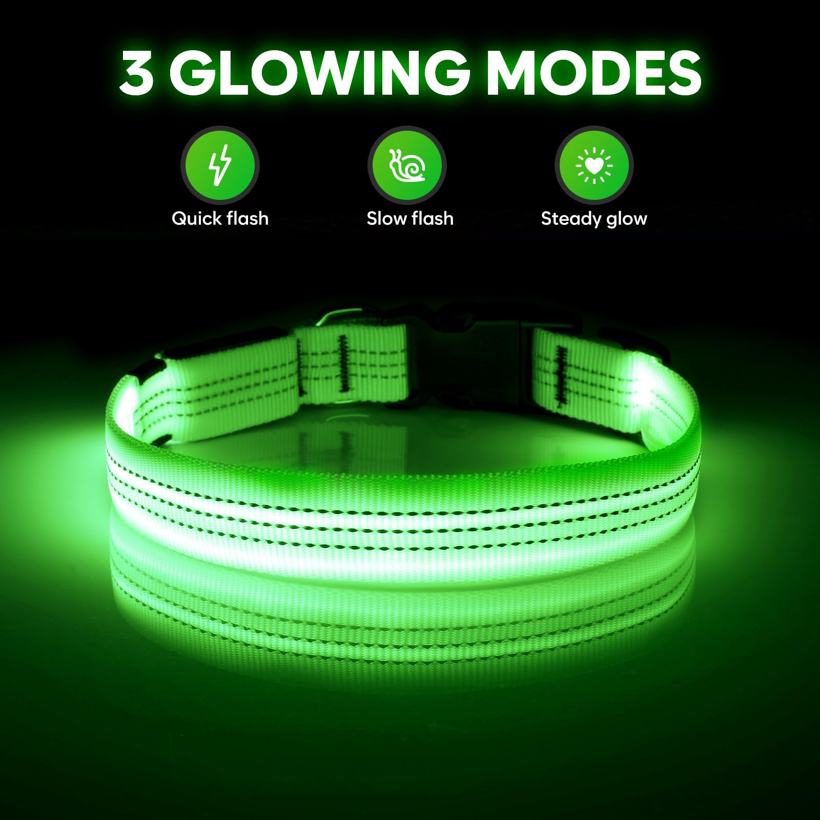 Illumifun light-up dog collar worn during night walks boosts visibility and safety