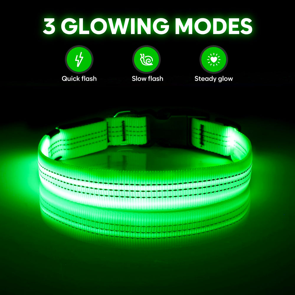 Illumifun light-up dog collar worn during night walks boosts visibility and safety