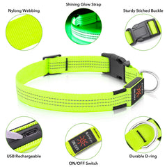 Illumifun light-up dog collar Green3 USB charging for quick recharging