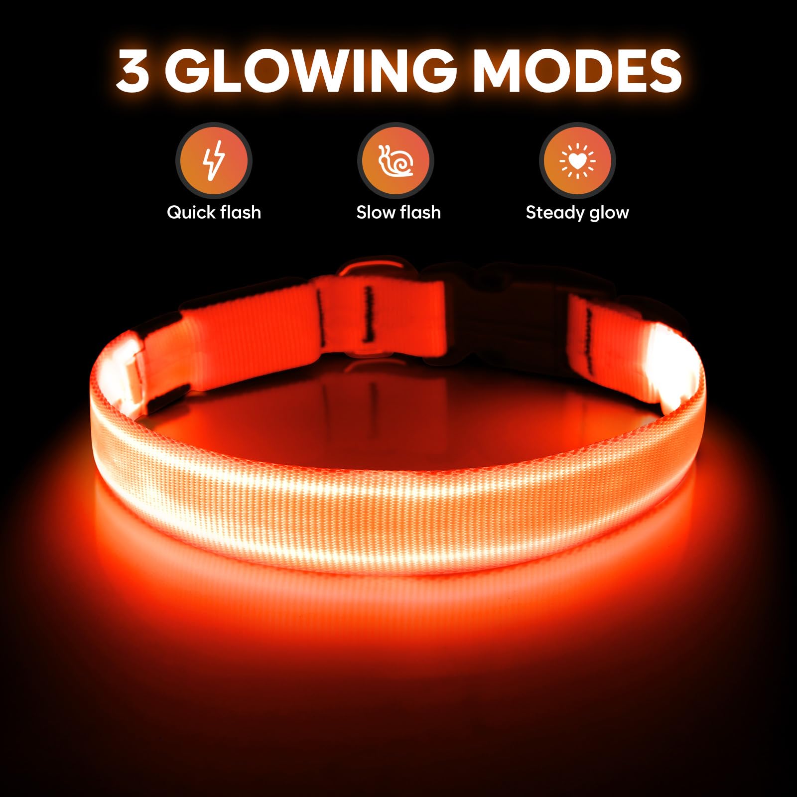 Illumifun light-up dog collar orange side-on dog highlights safe walking in low light.