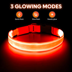 Illumifun light-up dog collar orange side-on dog highlights safe walking in low light.
