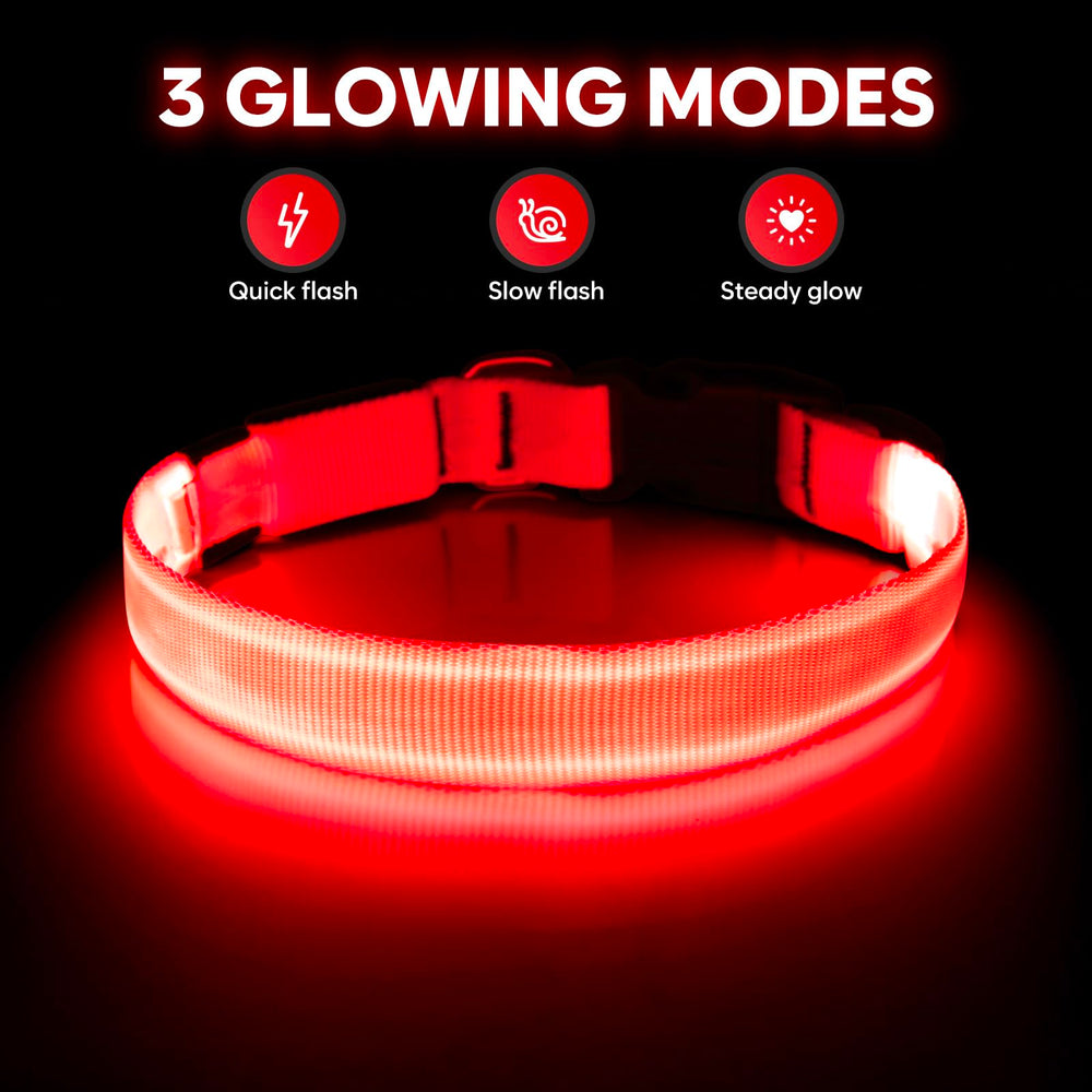 Illumifun light up dog collar LED close-up shows bright safety glow