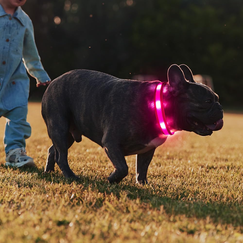 Illumifun night-walk collar in rain-ready design for wet conditions.